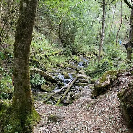 Precioso Con Vistas Montana O Rio Appartamento Ribes De Freser