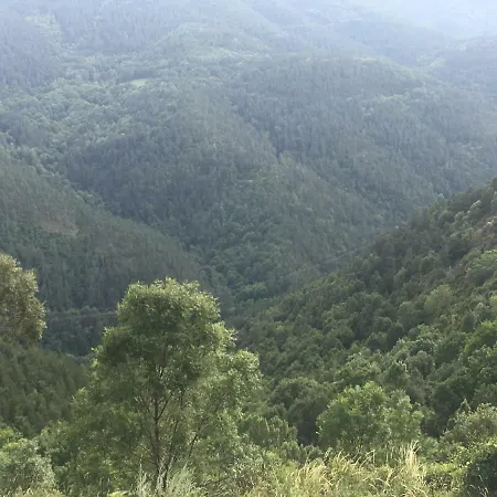 Appartamento Precioso Con Vistas Montana O Rio Ribes De Freser